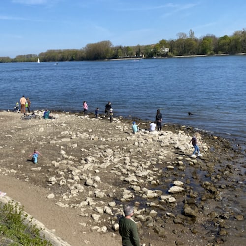 am Ufer des Rhein spielen ist erlaubt in 2021